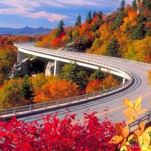 Meet your Posher, Mariam